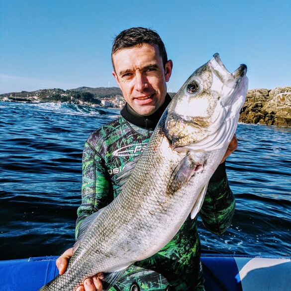 Dicentrarchus Labrax (Lubina). Pedro Veiga, alumno Apnea Norte