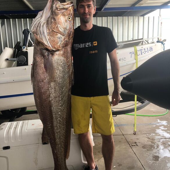 Argyrosomus Regius (Corvina). Javier Camacho, Mares Team