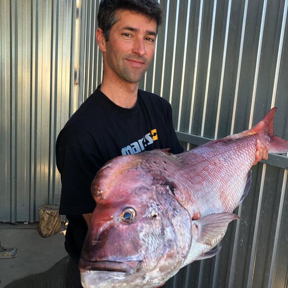 Dentex Gibbosus (Pargo) Javier Camacho, Mares Team