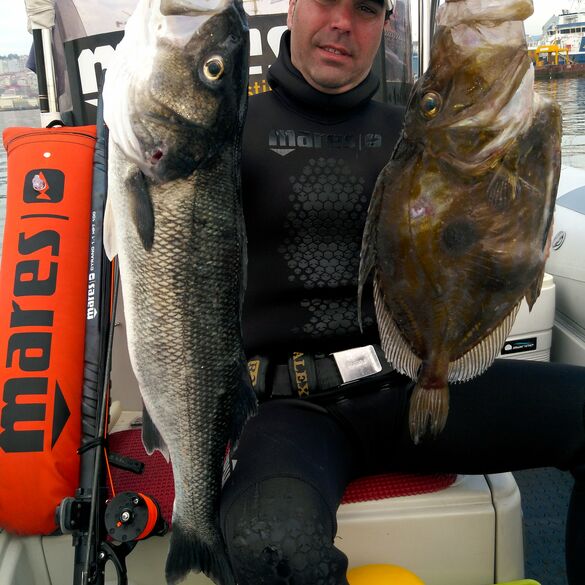 Dicentrarchus Labrax (Lubina) y Zeus Faber (Pez San Pedro). Alejandro Sanchez, Instructor AA