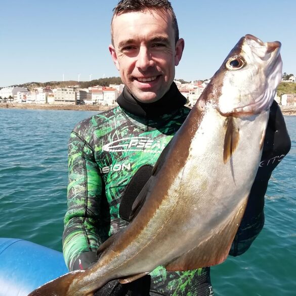 Pollachius pollachius (Abadejo). Pedro Veiga alumno Apnea Norte